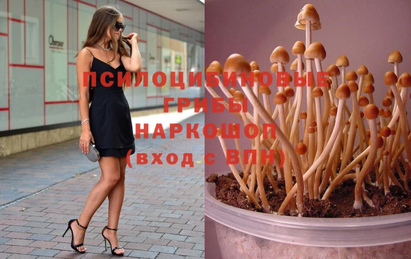 синтетический гашиш Михайлов