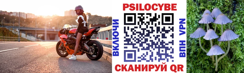 купить Оха Псилоцибиновые грибы GOLDEN TEACHER